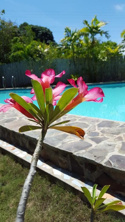 Villa Formosa Bohol ภายนอก รูปภาพ